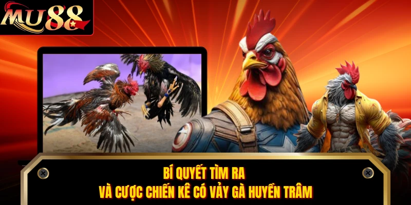 Bí quyết tìm ra và cược chiến kê có vảy gà huyền trâm 