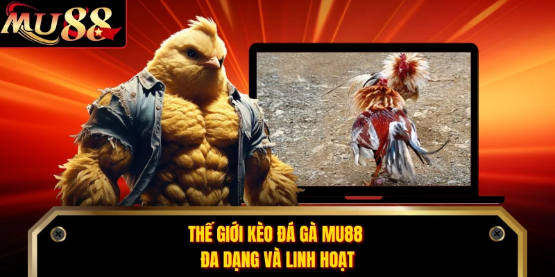 Thế giới kèo đá gà MU88 đa dạng và linh hoạt 